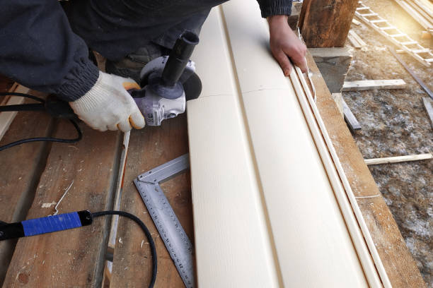 Best Siding Replacement  in Greenwood, MO